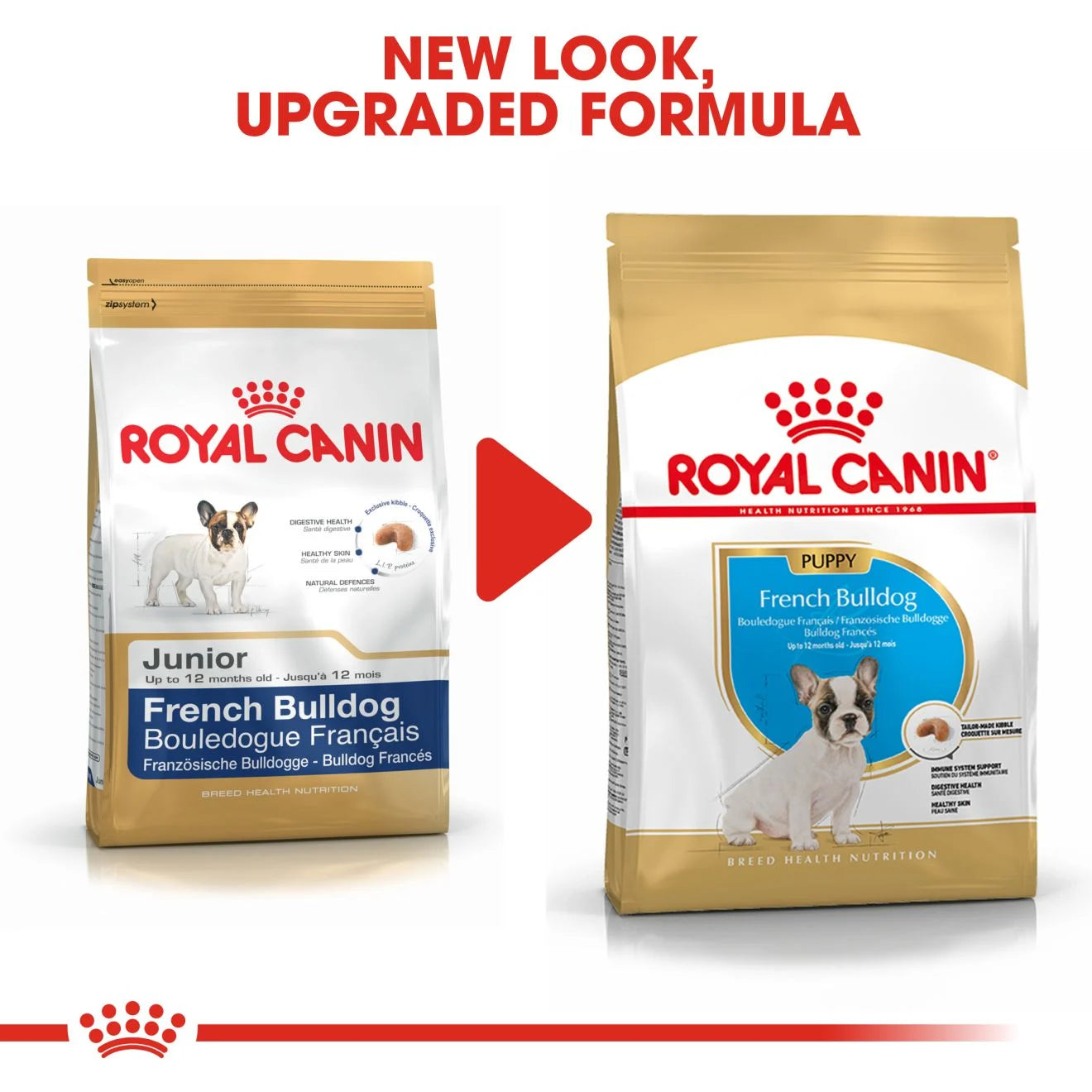 Royal Canin Dry Dog Food for French Bulldog Puppies