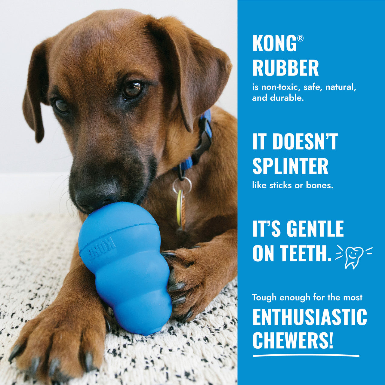 Kong Puppy Binkie Dog Toy, Medium