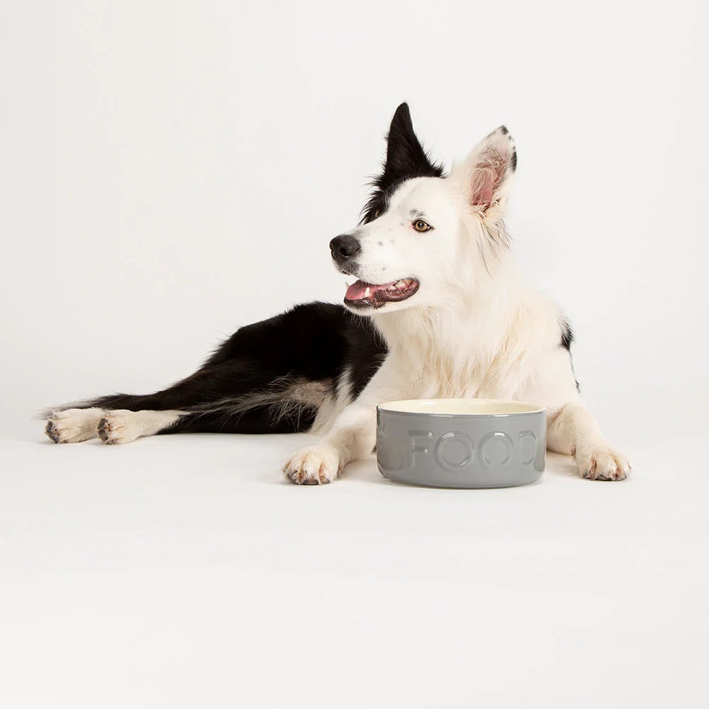Scruffs Classic Grey Dog Food Bowl, 19cm