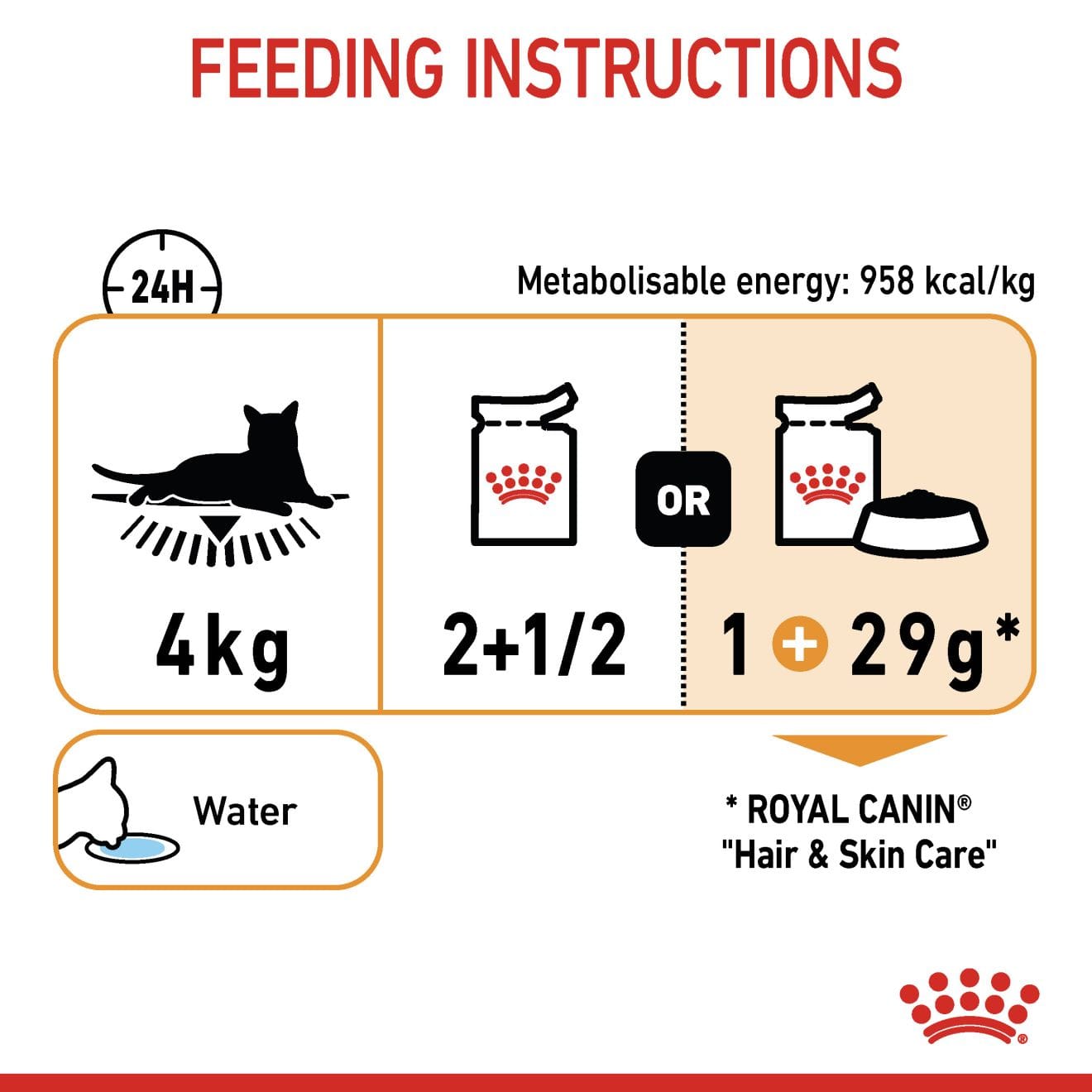 Royal Canin Hair & Skin Care Wet Cat Food Thin Slices In Gravy for Adult Cats, 85g