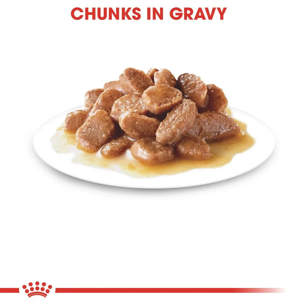 Royal Canin Instinctive 7+ Wet Cat Food Chunks In Gravy for Senior Cats, 85g
