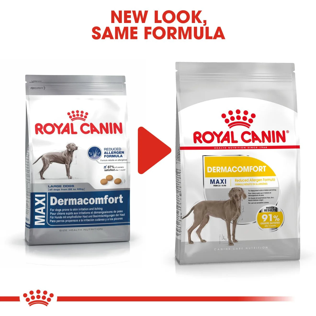Royal Canin Dermacomfort Dry Dog Food for Large Breed Adult Dogs, 12kg
