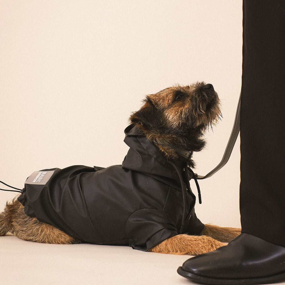 Barc London Black Waterproof Dog Raincoat