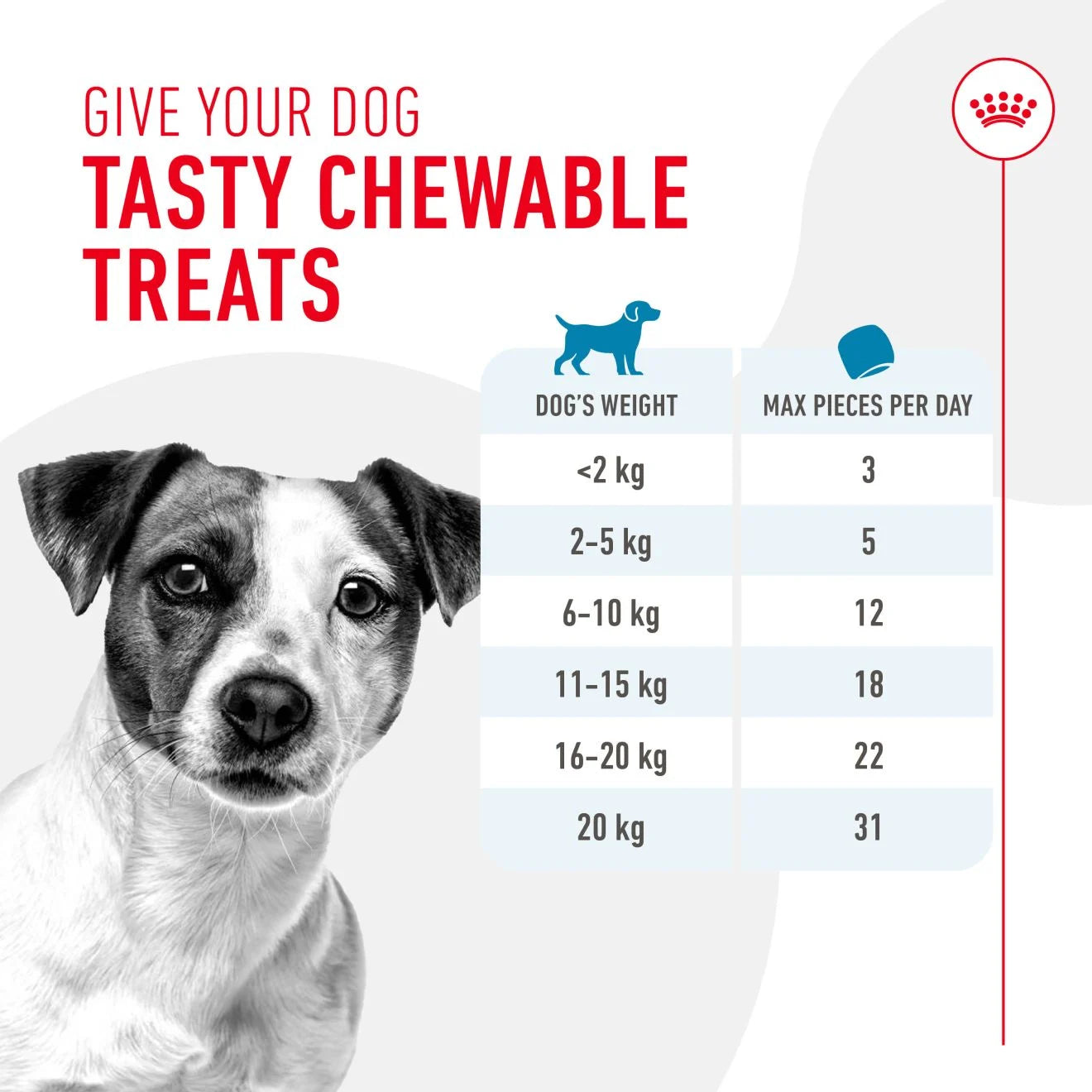 Royal Canin Dog Training Treats, 110g