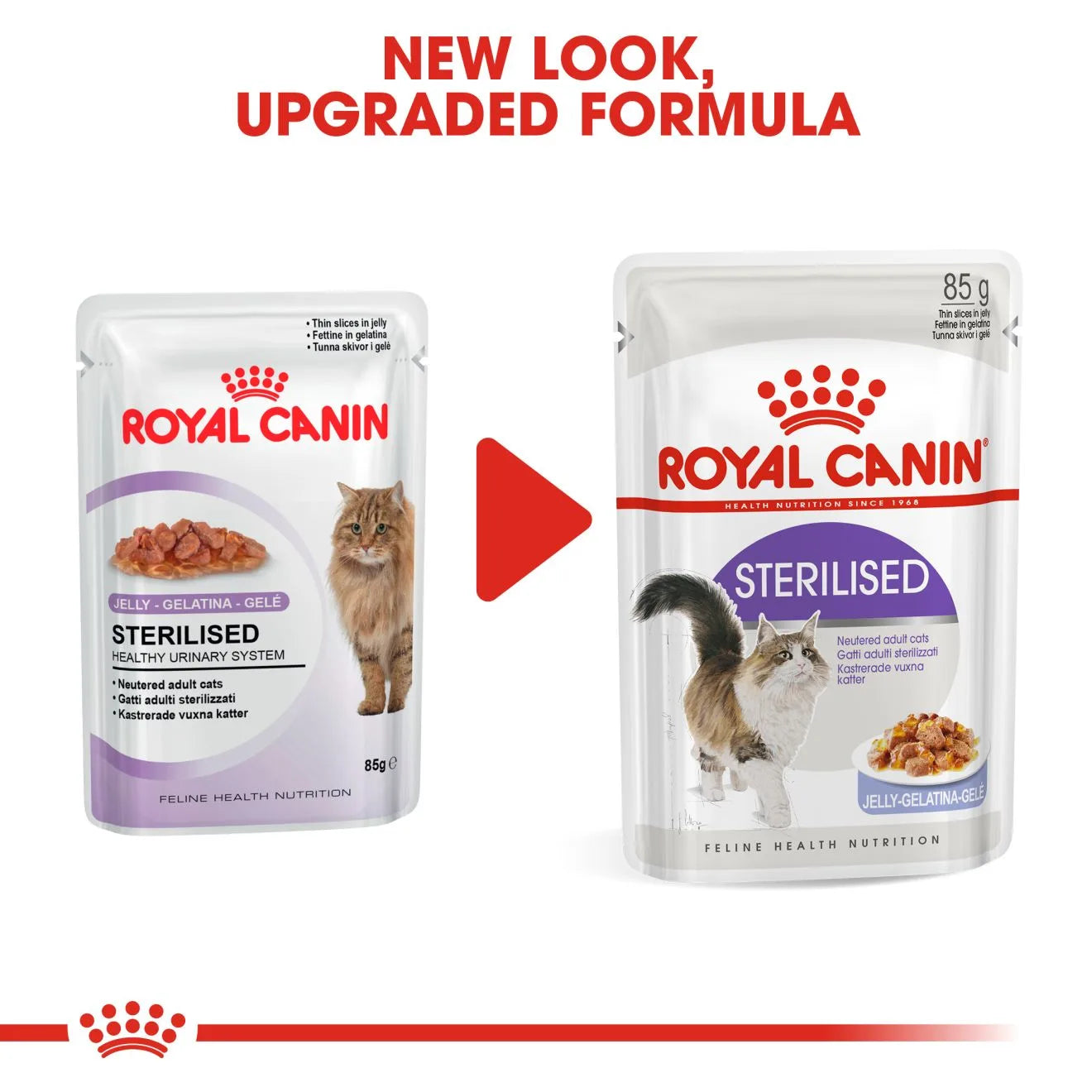 Royal Canin Sterilised Wet Cat Food Thin Slices In Jelly for Neutered Adult Cats, 85g