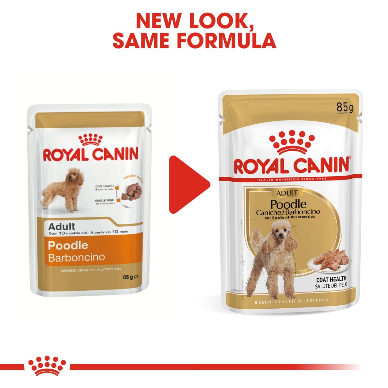 Royal Canin Wet Dog Food In Loaf for Adult Poodles, 85g