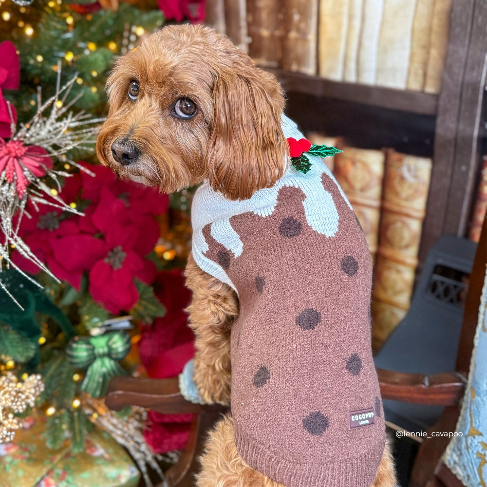 Cocopup Woofmas Christmas Pudding Dog Jumper