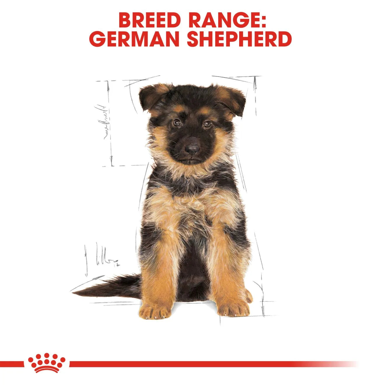 Royal Canin Dry Dog Food for German Shepherd Puppies