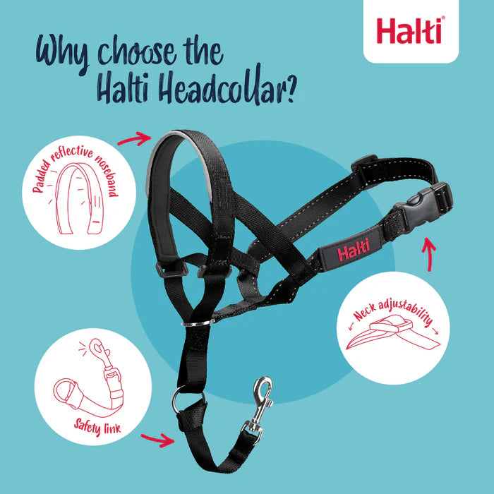 Halti Train Headcollar, Black