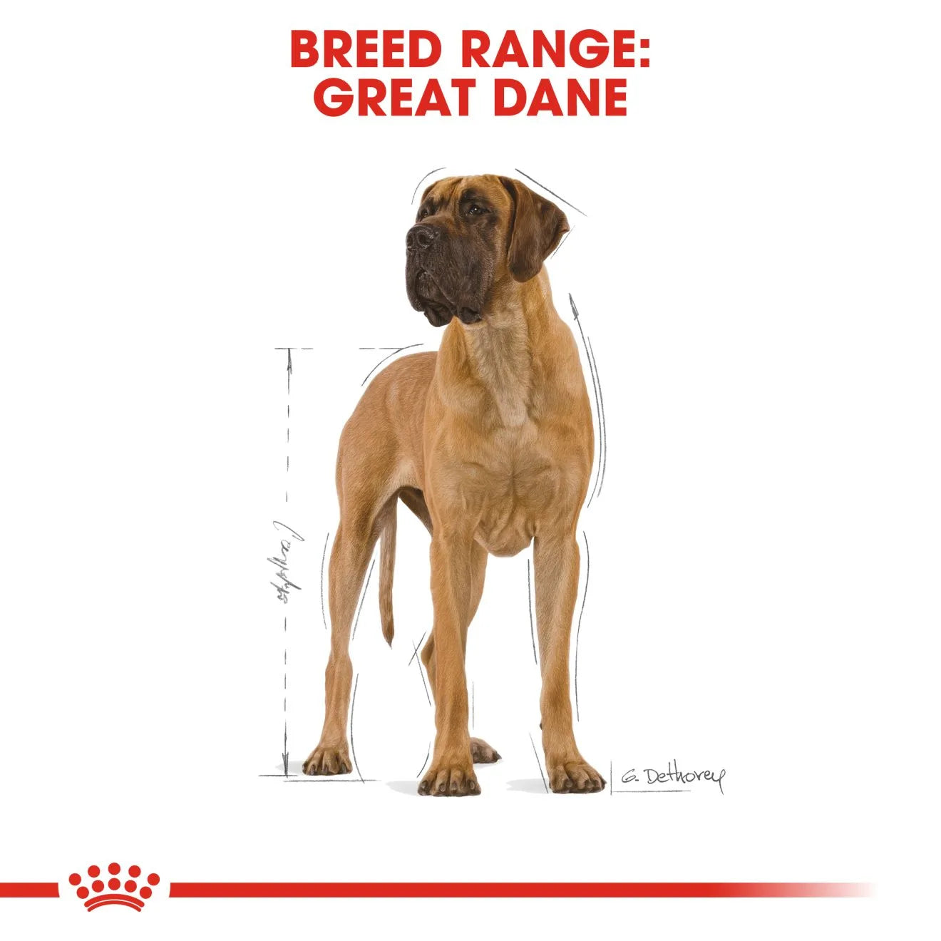 Royal Canin Dry Dog Food for Adult Great Danes, 12kg