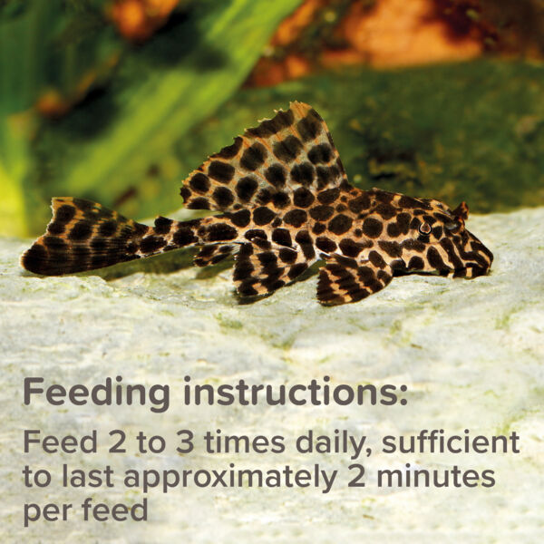 King British Plecostomus Tablets, 50g