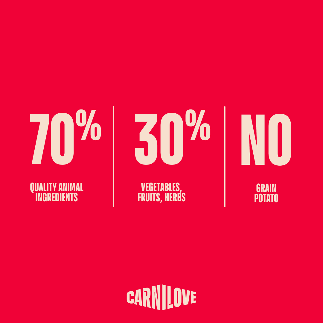 Carnilove Lamb & Wild Boar Dry Dog Food for Adult Dogs