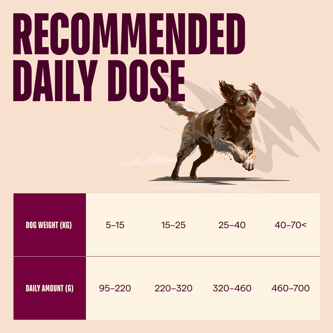 Carnilove Lamb & Wild Boar Dry Dog Food for Adult Dogs