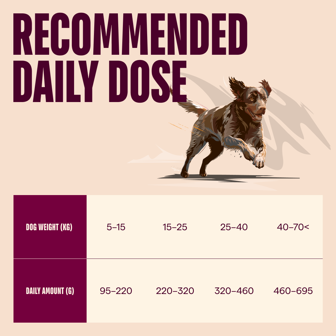 Carnilove Duck & Pheasant Dry Dog Food for Adult Dogs