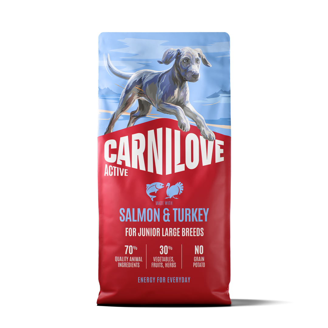 Carnilove Salmon & Turkey Dry Dog Food for Large Breed Puppies