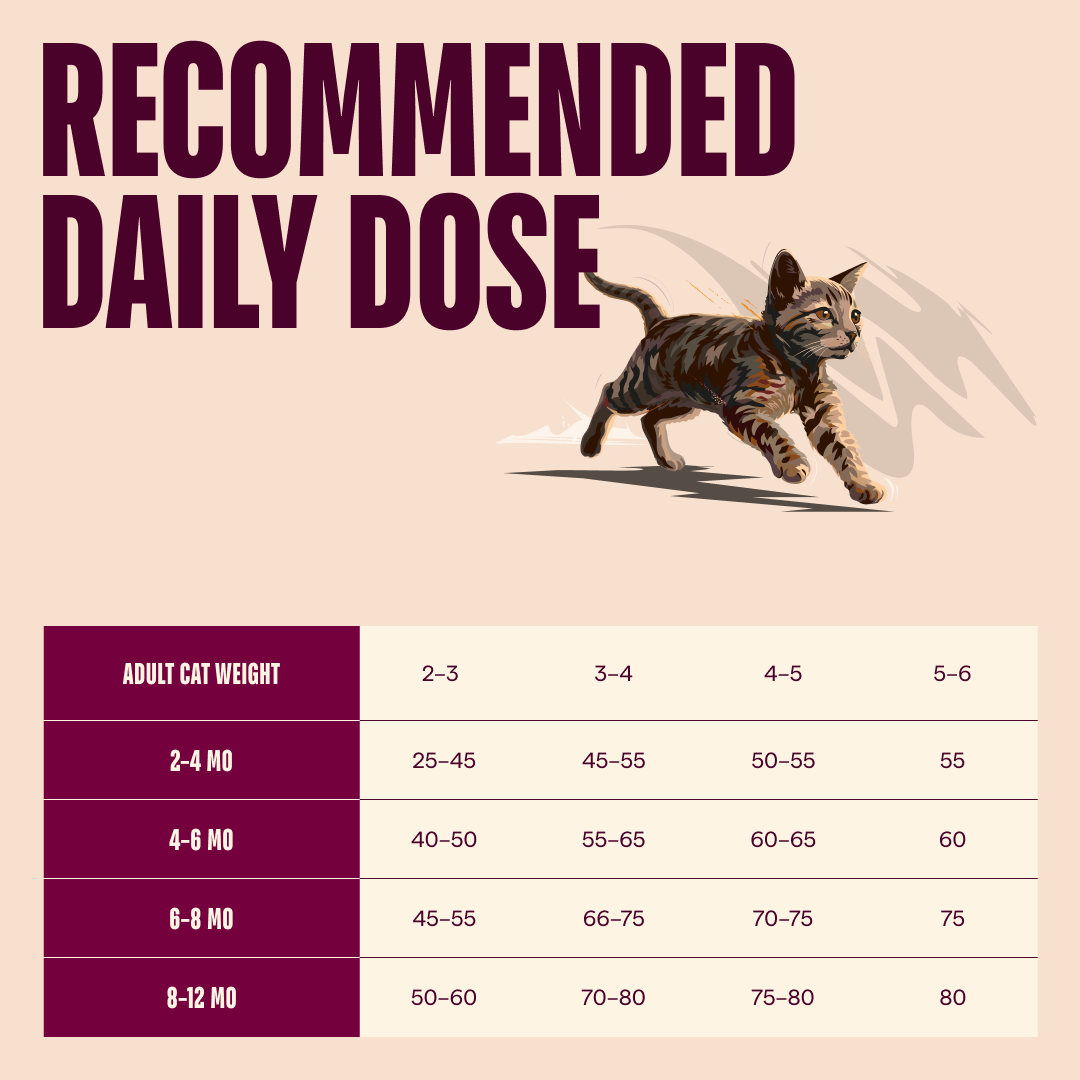 Carnilove Salmon & Turkey Dry Cat Food for Kittens
