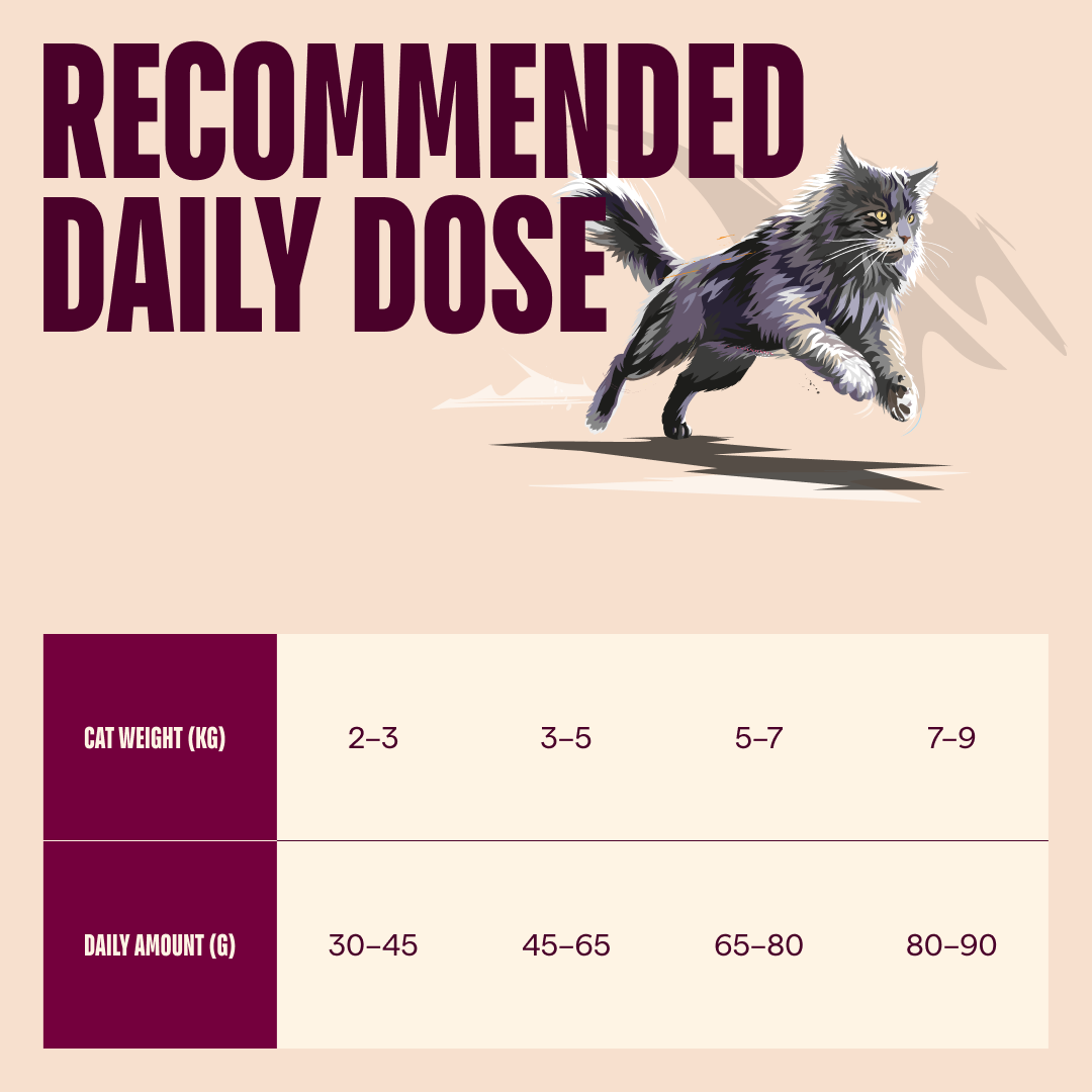 Carnilove Salmon & Turkey Dry Cat Food for Sterilised Cats, 2kg