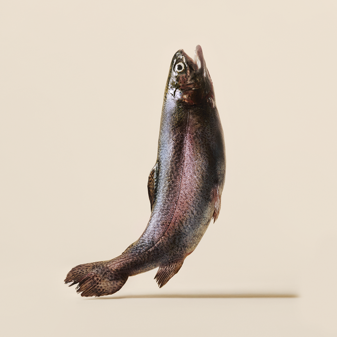 Donation - Carnilove Trout Enriched with Dill Soft Dog Treats, 200g