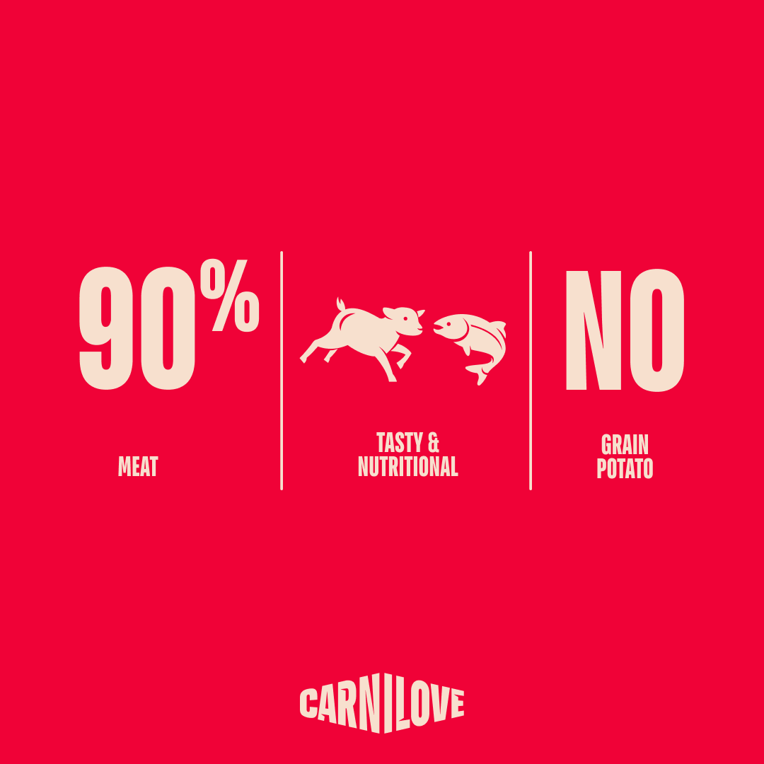 Carnilove Lamb with Salmon Jerky Fillet Dog Treat for Adult Dogs, 100g