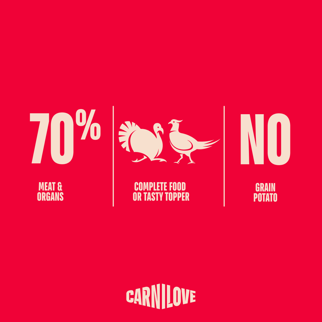 Carnilove Pheasant with Raspberry Wet Dog Food for Adult Dogs, 300g