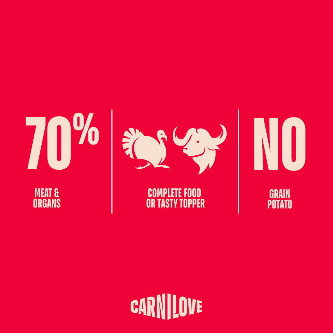 Carnilove Quail with Yellow Carrot Wet Dog Food for Adult Dogs, 300g