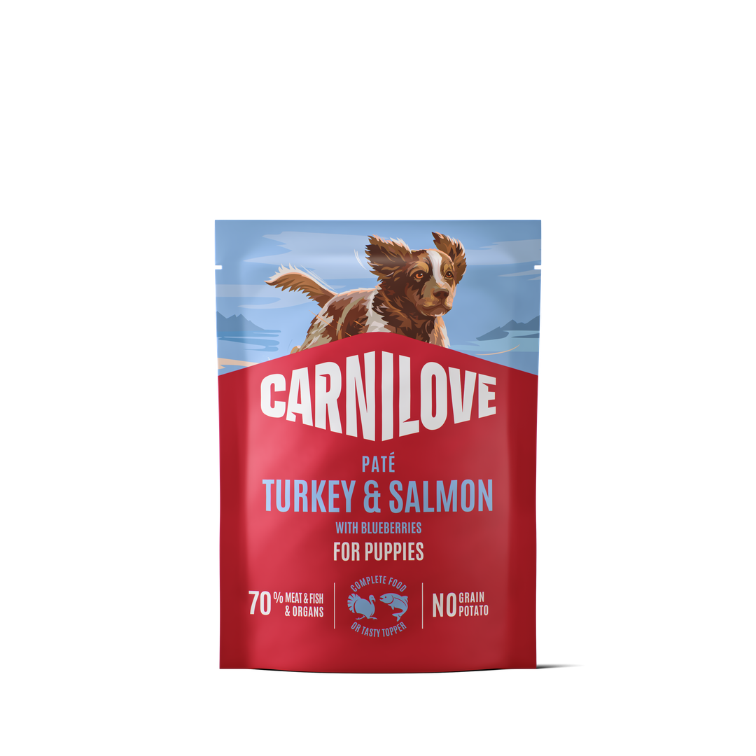 Carnilove Turkey & Salmon with Blueberries Wet Dog Food for Puppies, 300g