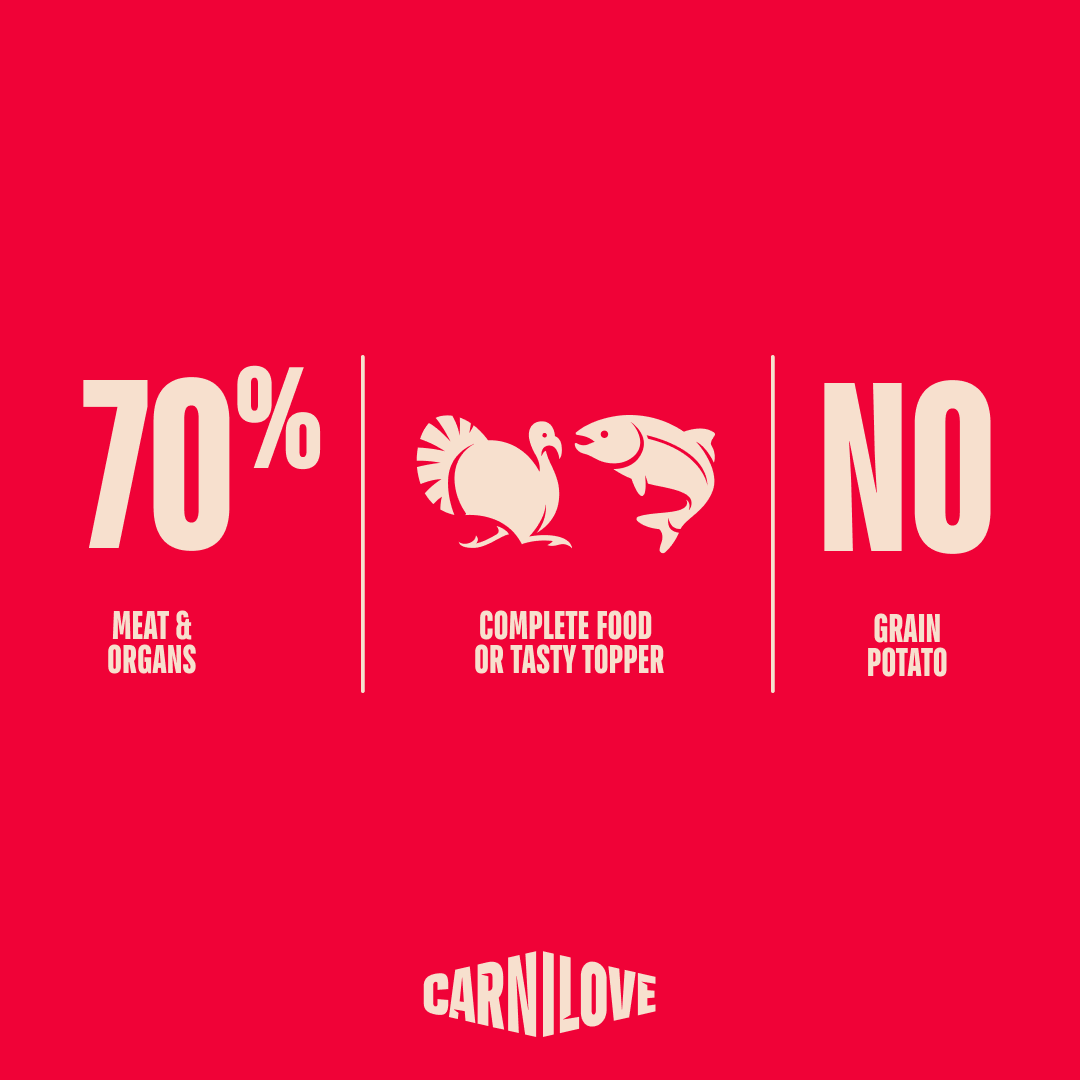 Carnilove Turkey & Salmon with Blueberries Wet Dog Food for Puppies, 300g