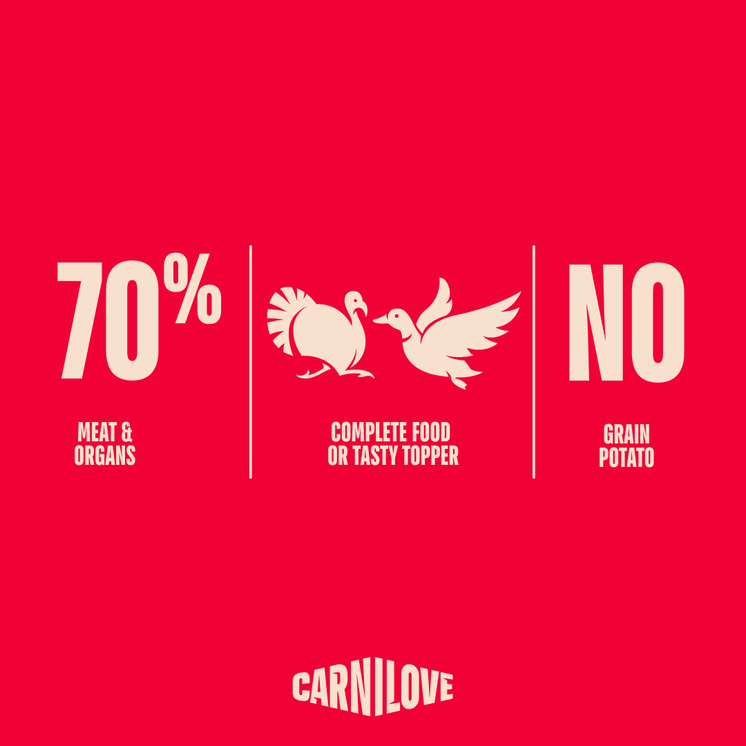 Carnilove Turkey & Duck with Timothy Grass Wet Dog Food for Adult Dogs, 300g