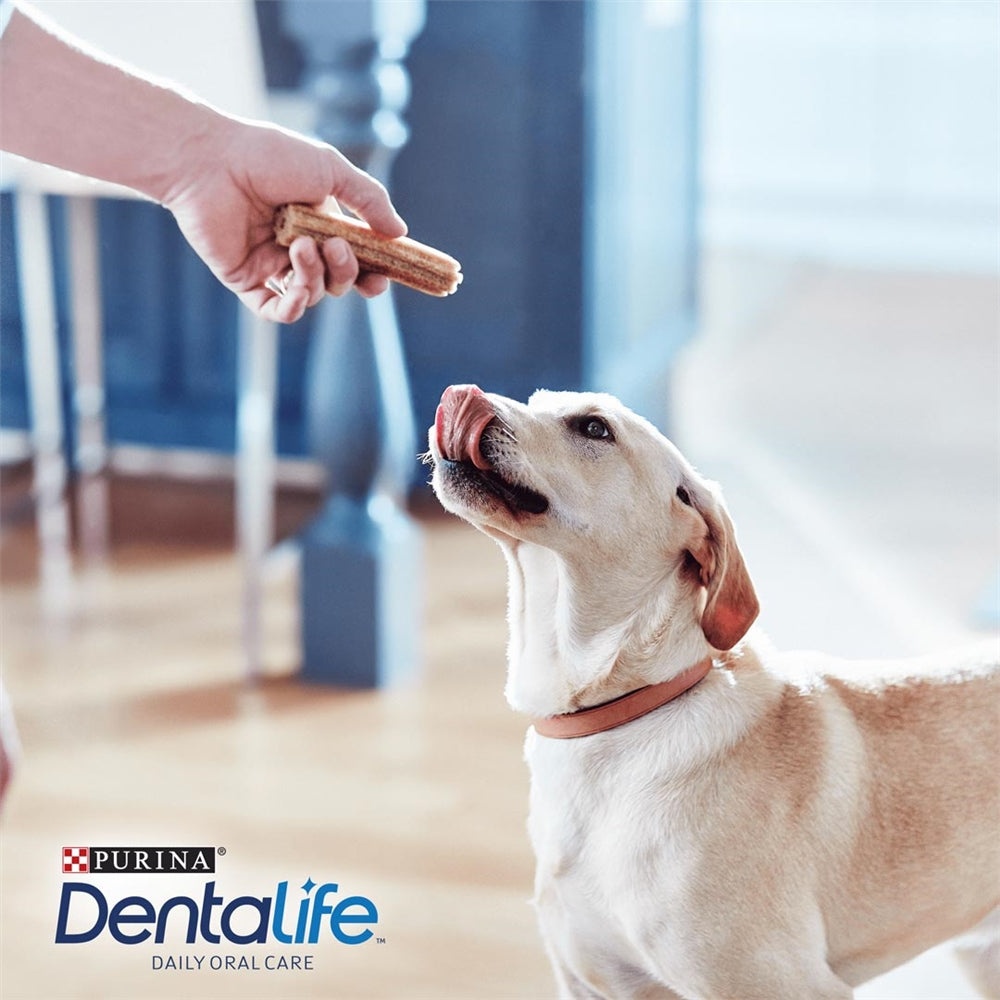 Purina Dentalife Large Dog Dental Dog Chews, 12 Sticks