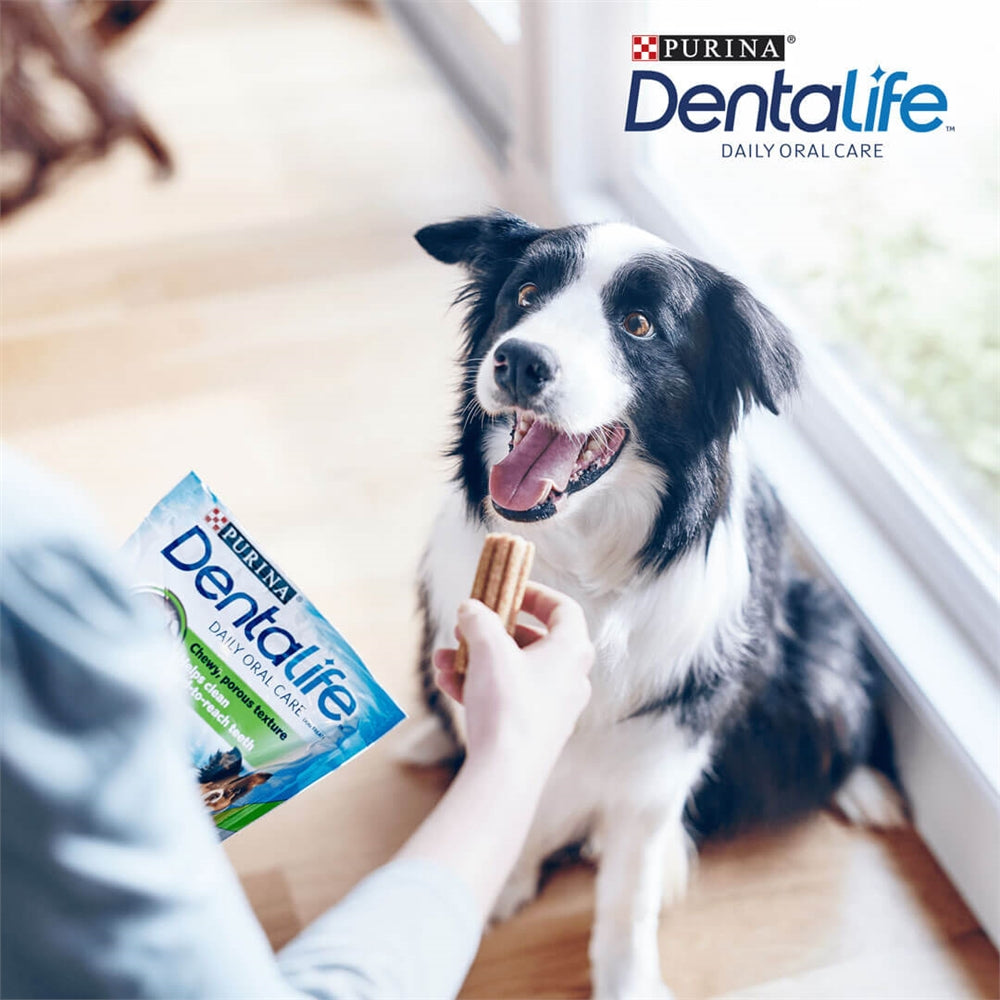 Purina Dentalife Medium Dog Dental Dog Chews, 15 Sticks