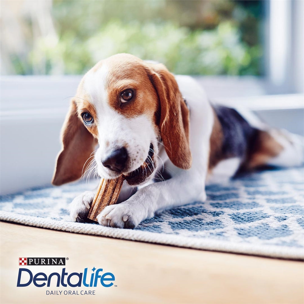 Purina Dentalife Small Dog Dental Dog Chews, 21 Sticks