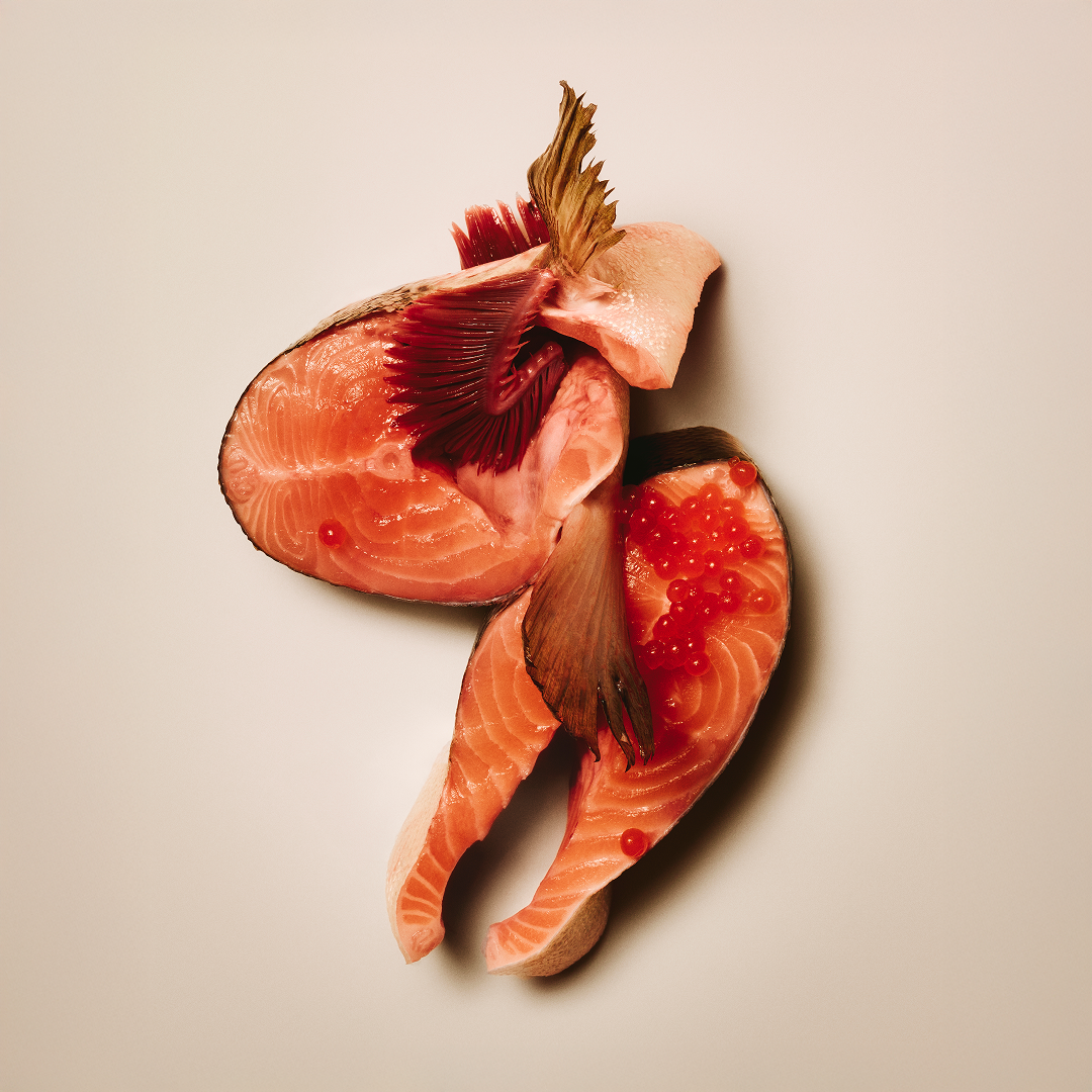 Carnilove Salmon with Blueberries Crunchy Dog Treats, 200g