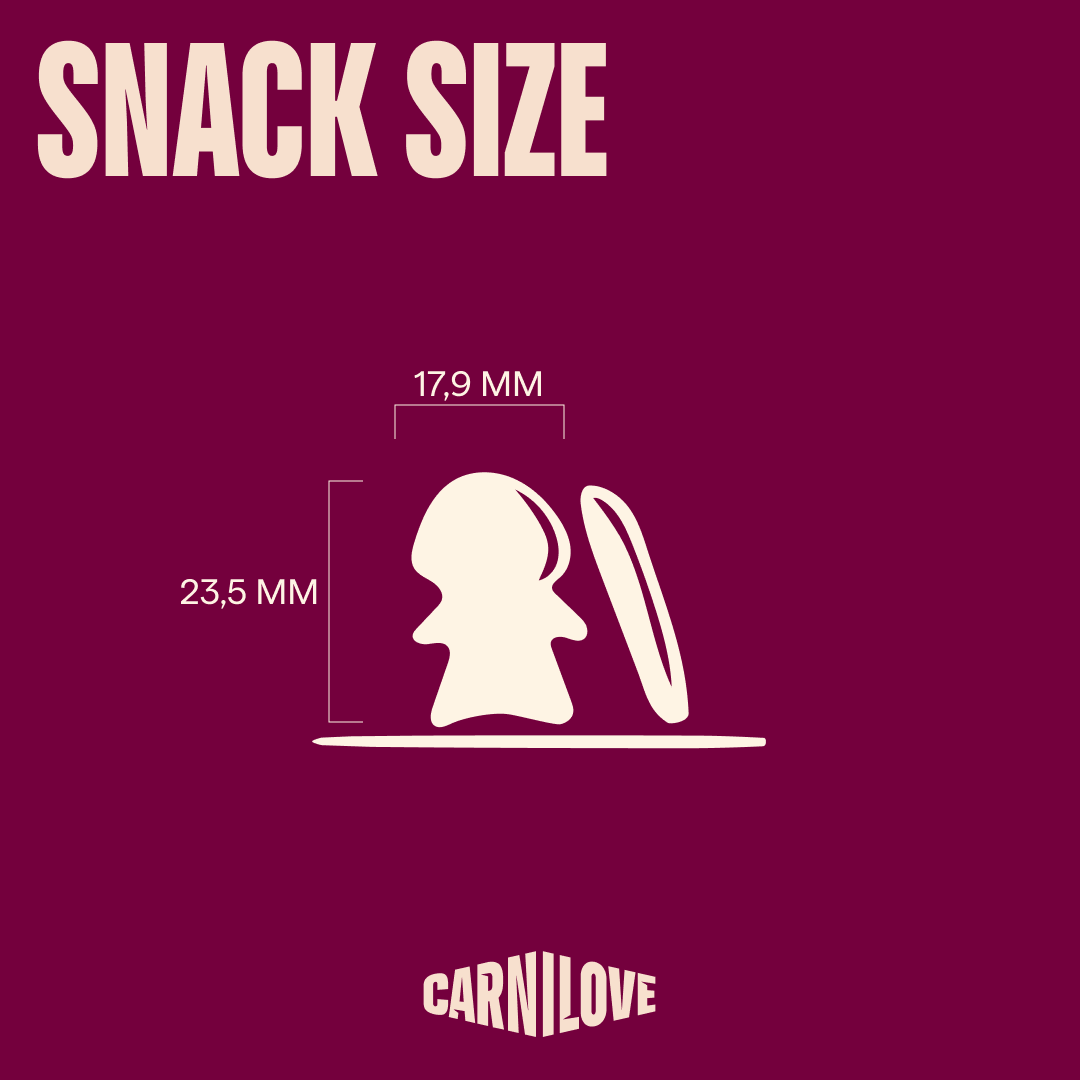 Carnilove Mackerel with Raspberries Crunchy Dog Treats, 200g