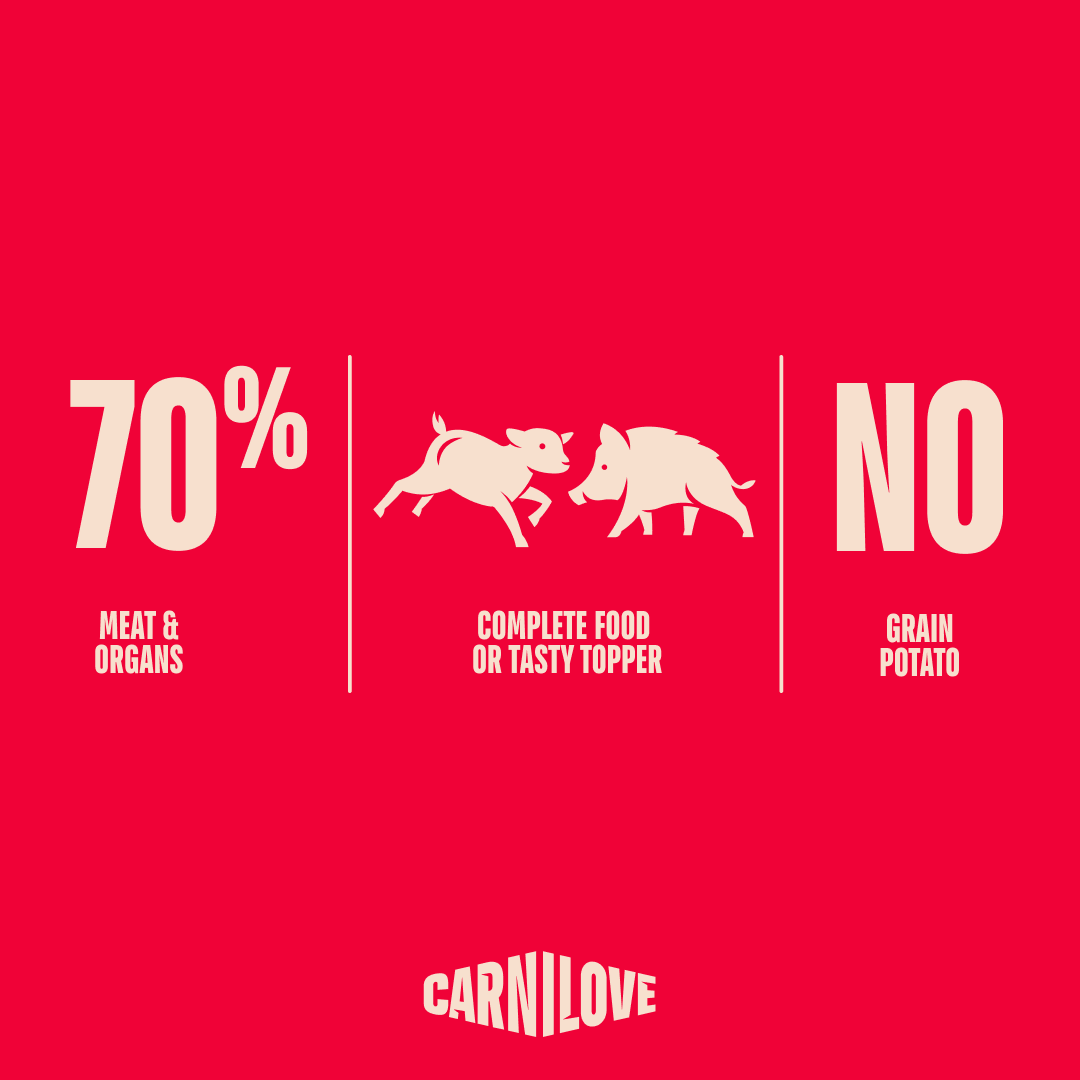 Carnilove Lamb & Wild Boar Wet Dog Food for Adult Dogs, 400g