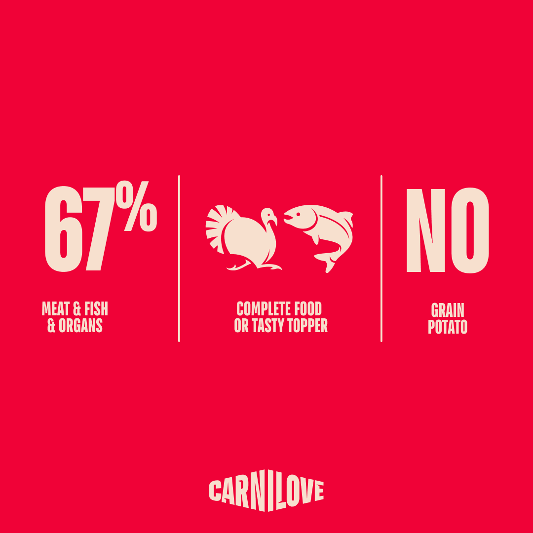 Carnilove Turkey & Salmon Wet Dog Food for Adult Dogs, 400g