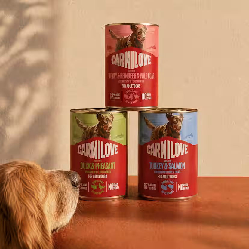 Carnilove Turkey & Salmon Wet Dog Food for Adult Dogs, 400g