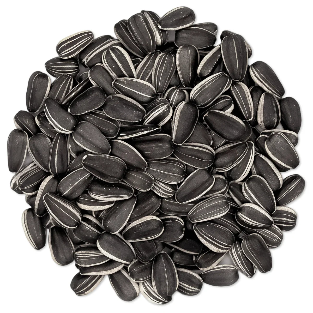 Hadley Striped Sunflower Bird Seed
