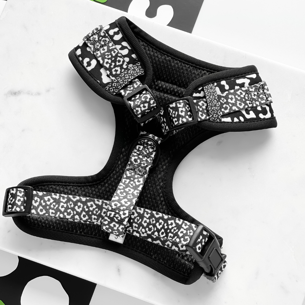 Cocopup Black Leopard Adjustable Neck Dog Harness