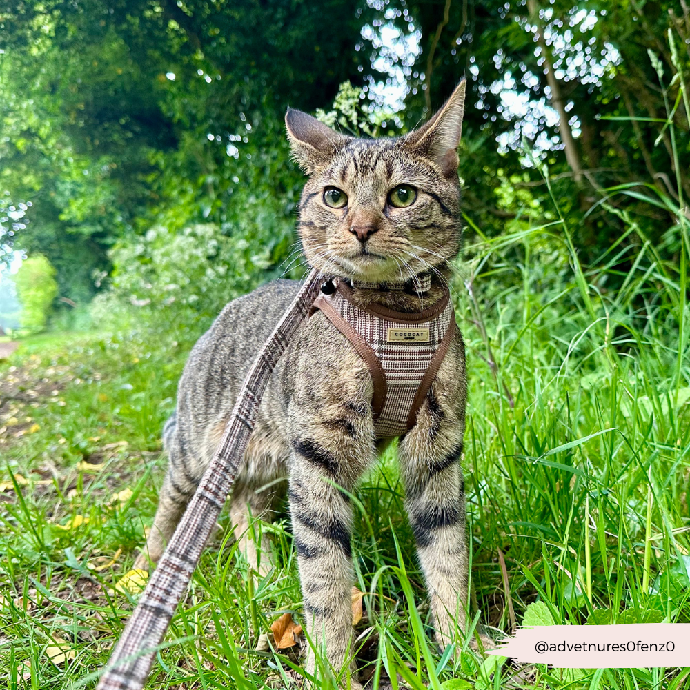 Cocopup Cat Harness, Plaid