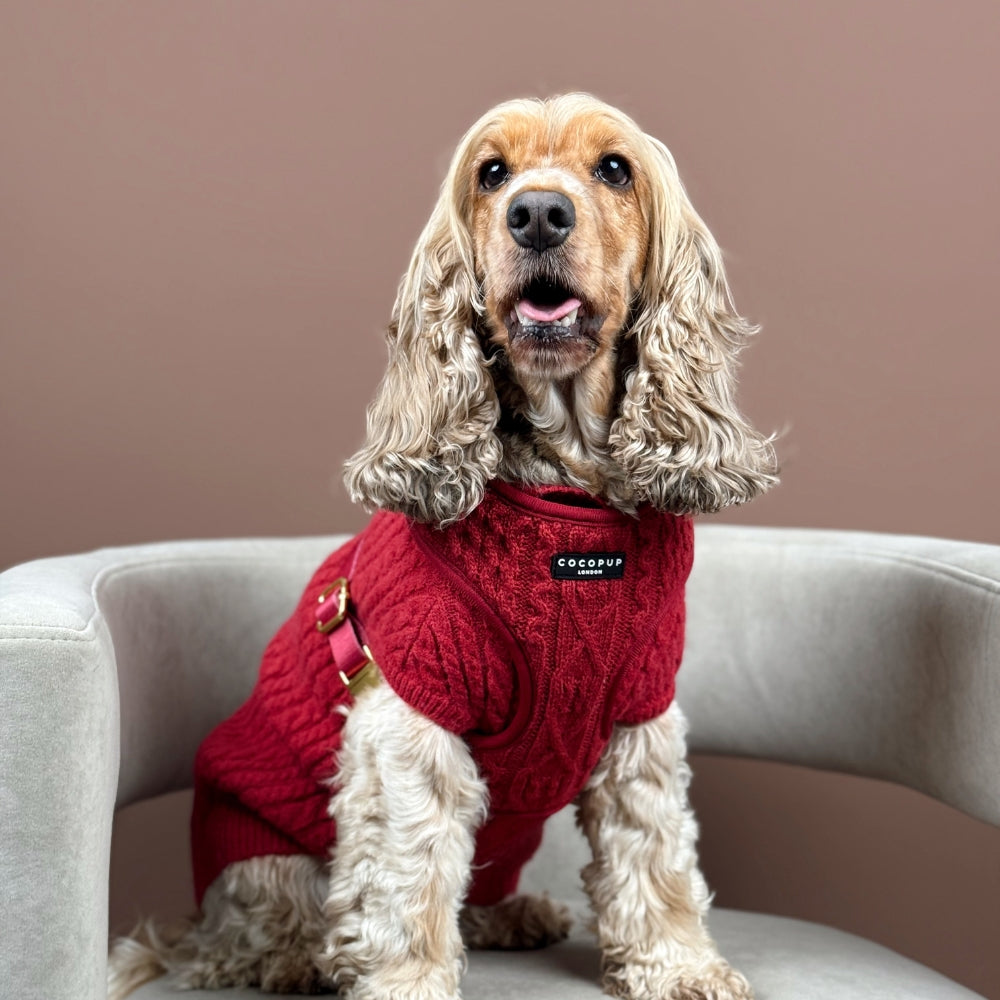 Cocopup Mulled Wine Cable Knit Dog Jumper