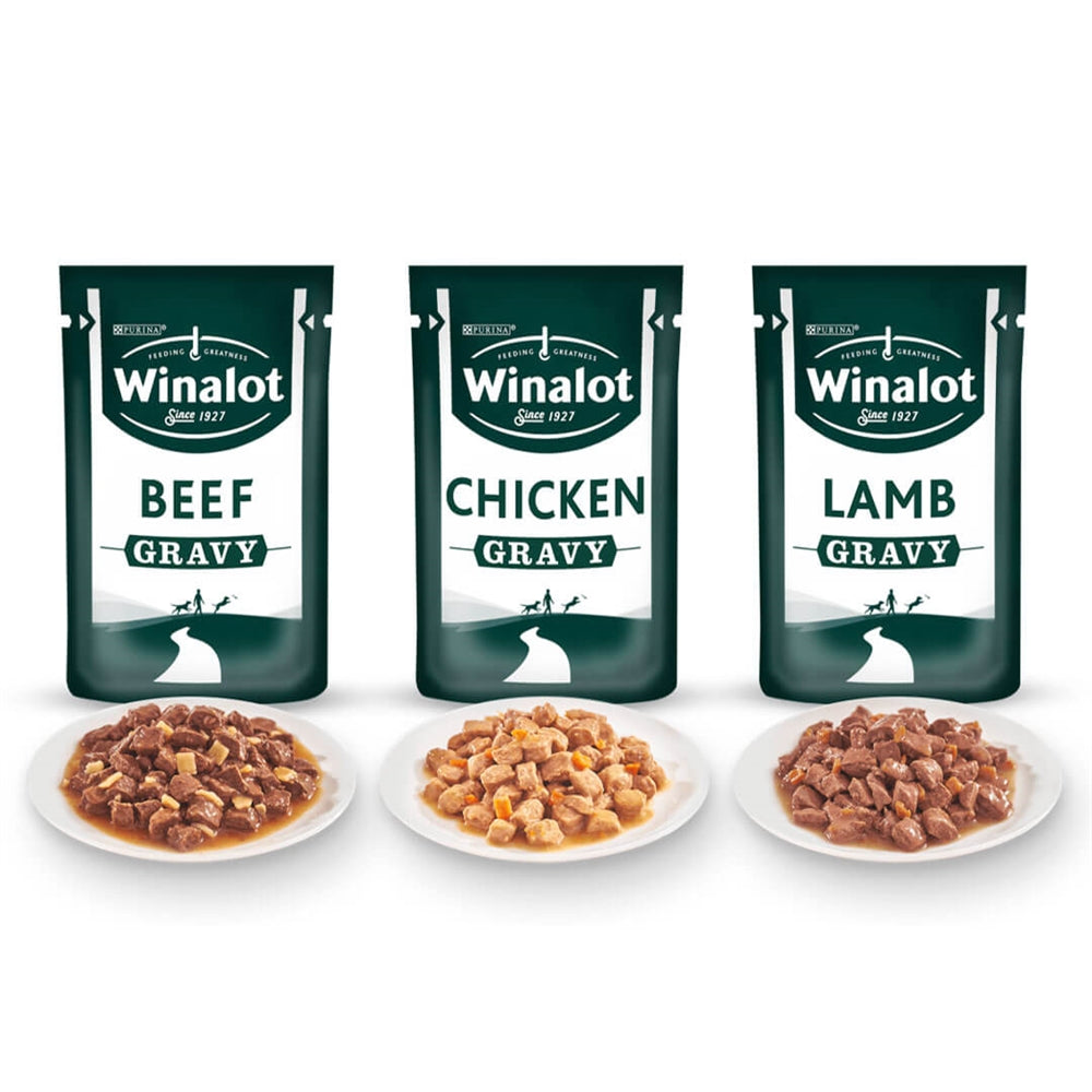 Winalot Meaty Chunks Mixed in Gravy Wet Dog Food for Adult Dogs, 40 x 100g