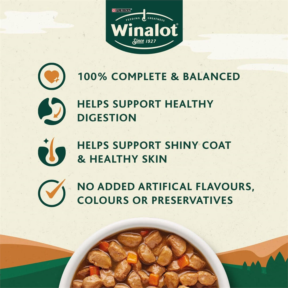 Winalot Meaty Chunks Mixed in Gravy Wet Dog Food for Adult Dogs, 40 x 100g