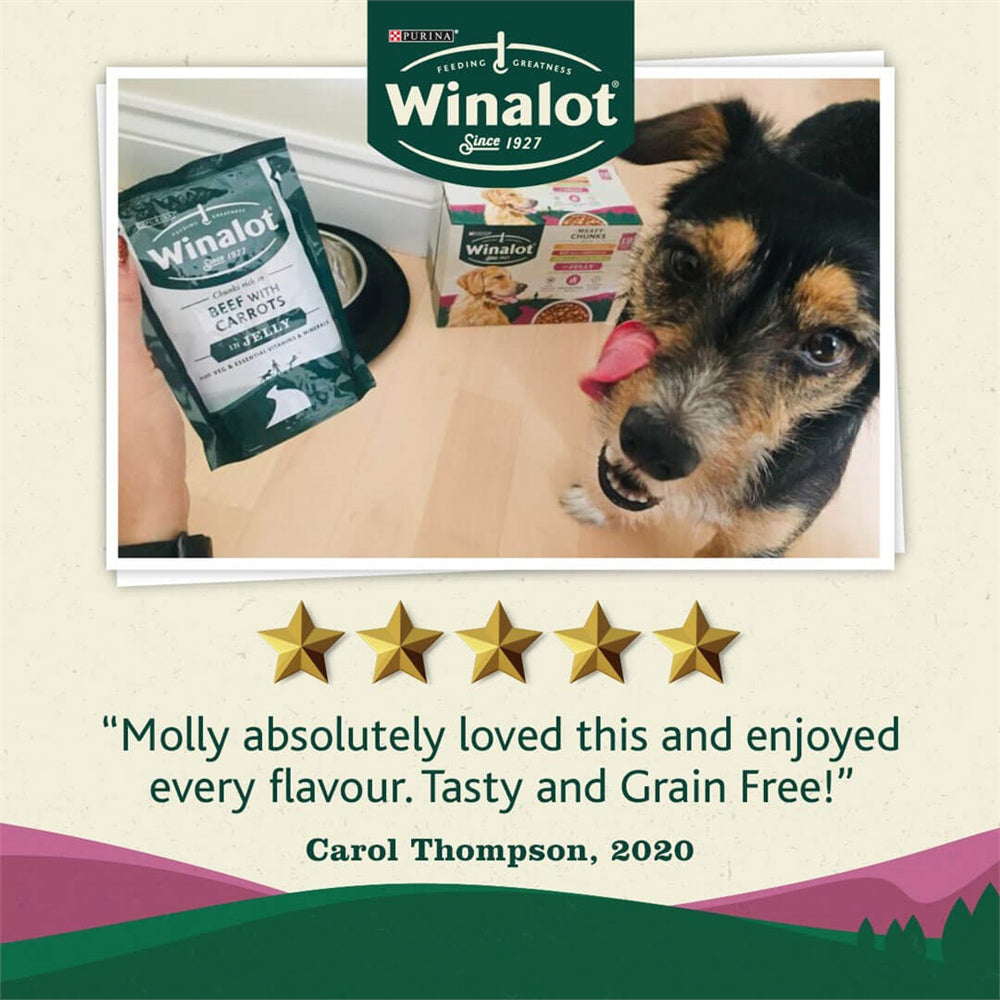 Winalot Meaty Chunks Grain Free Mixed in Jelly Wet Dog Food for Adult Dogs, 40 x 100g