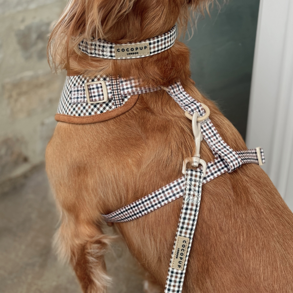 Cocopup Heritage Check Dog Lead