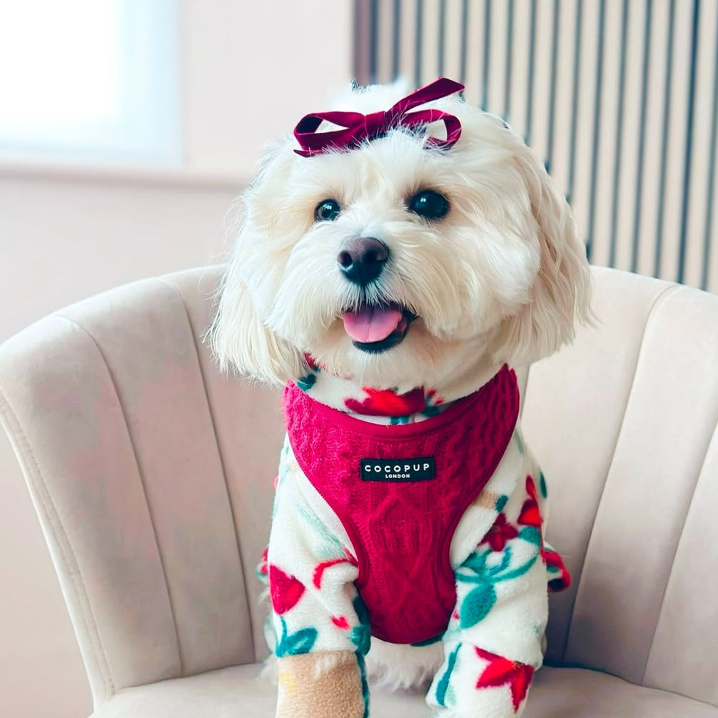 Cocopup Mulled Wine Cable Knit Adjustable Neck Dog Harness