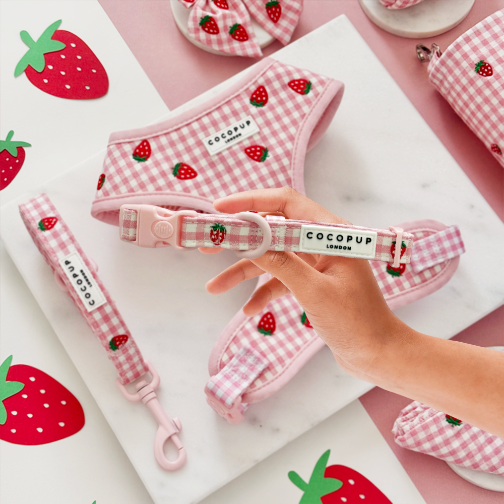 Cocopup Strawberry Picnic Pup Dog Collar
