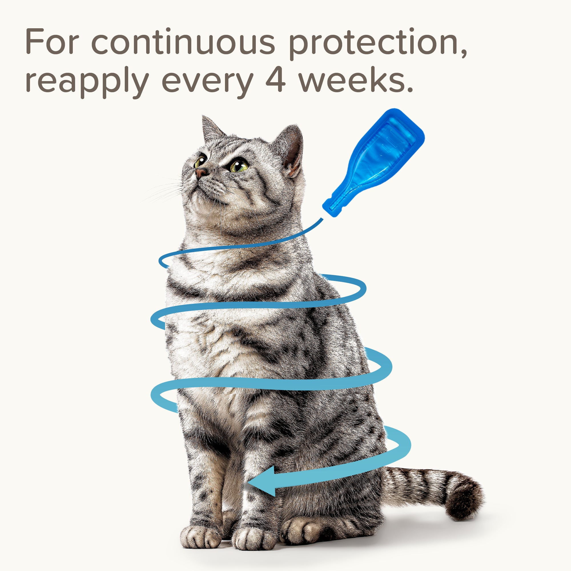 Beaphar FIPROtec Flea & Tick Spot-On for Cats, 1 Pipette