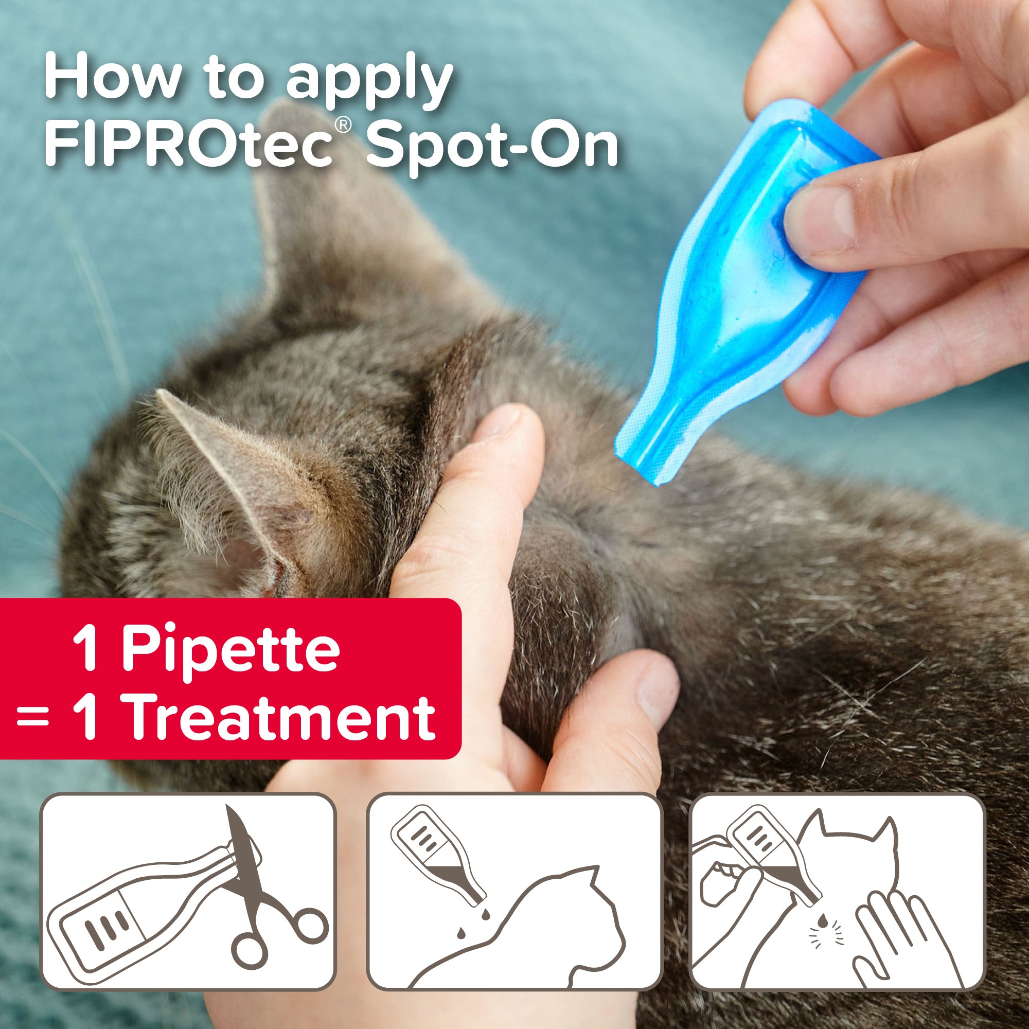 Beaphar FIPROtec Flea & Tick Spot-On for Cats, 1 Pipette