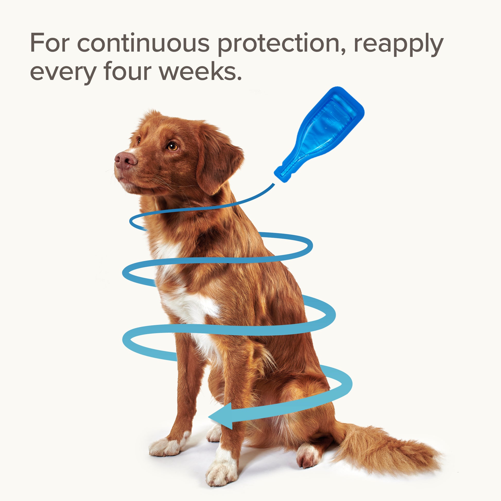 Beaphar FIPROtec Flea & Tick Spot-On for Small Dogs (2-10kg), 1 Pipette