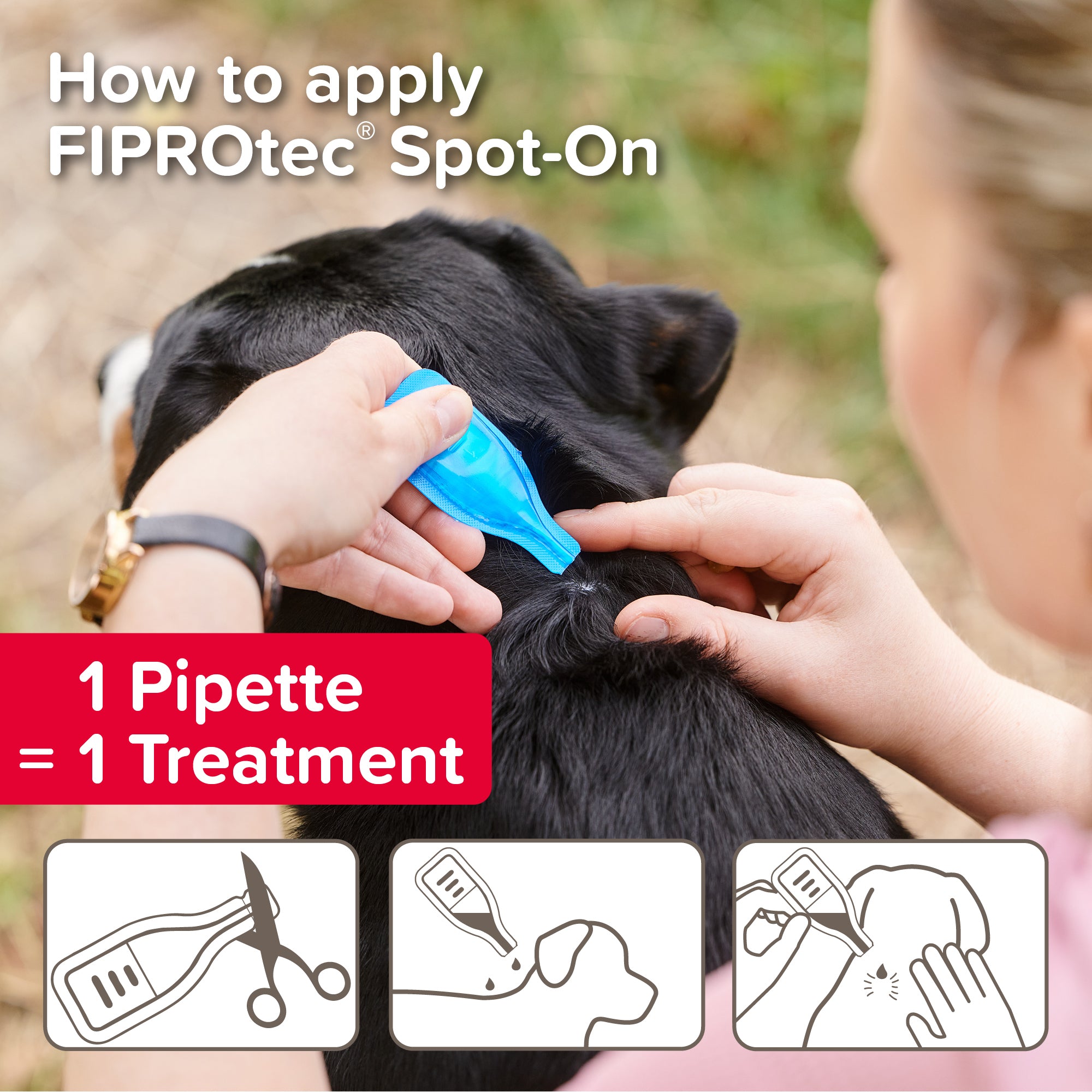 Beaphar FIPROtec Flea & Tick Spot-On for Small Dogs (2-10kg), 1 Pipette